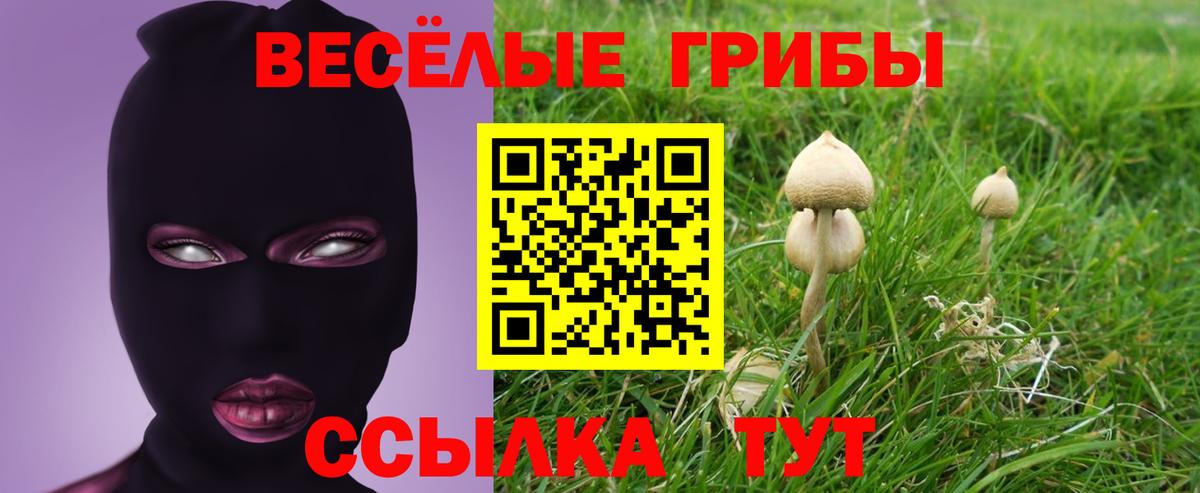Псилоцибиновые грибы ЛСД  Вход с VPN  Рязань 